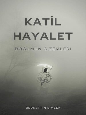 cover image of Katil Hayalet